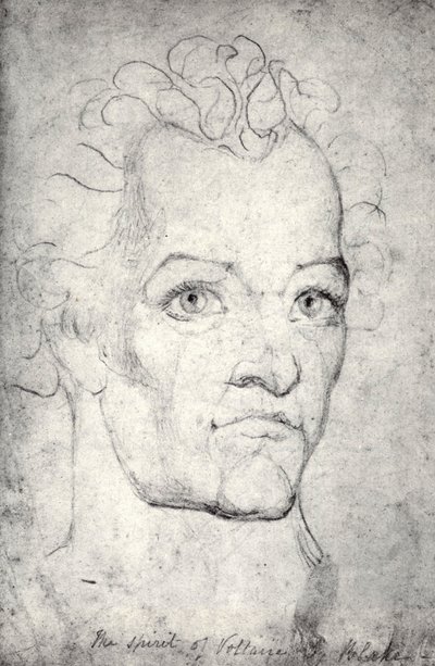 Head of Voltaire by William Blake